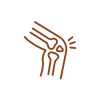 gewricht